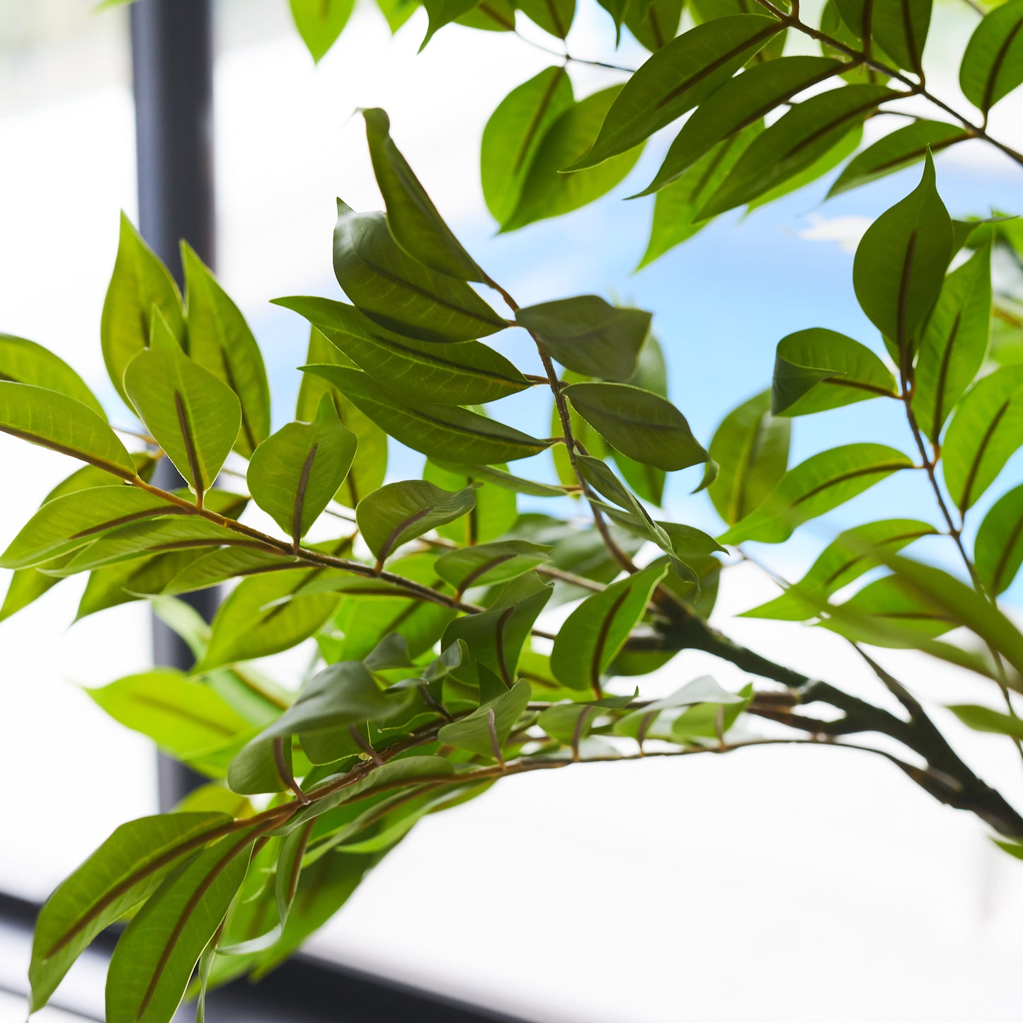 Yuki Lacquer Tree with Pot