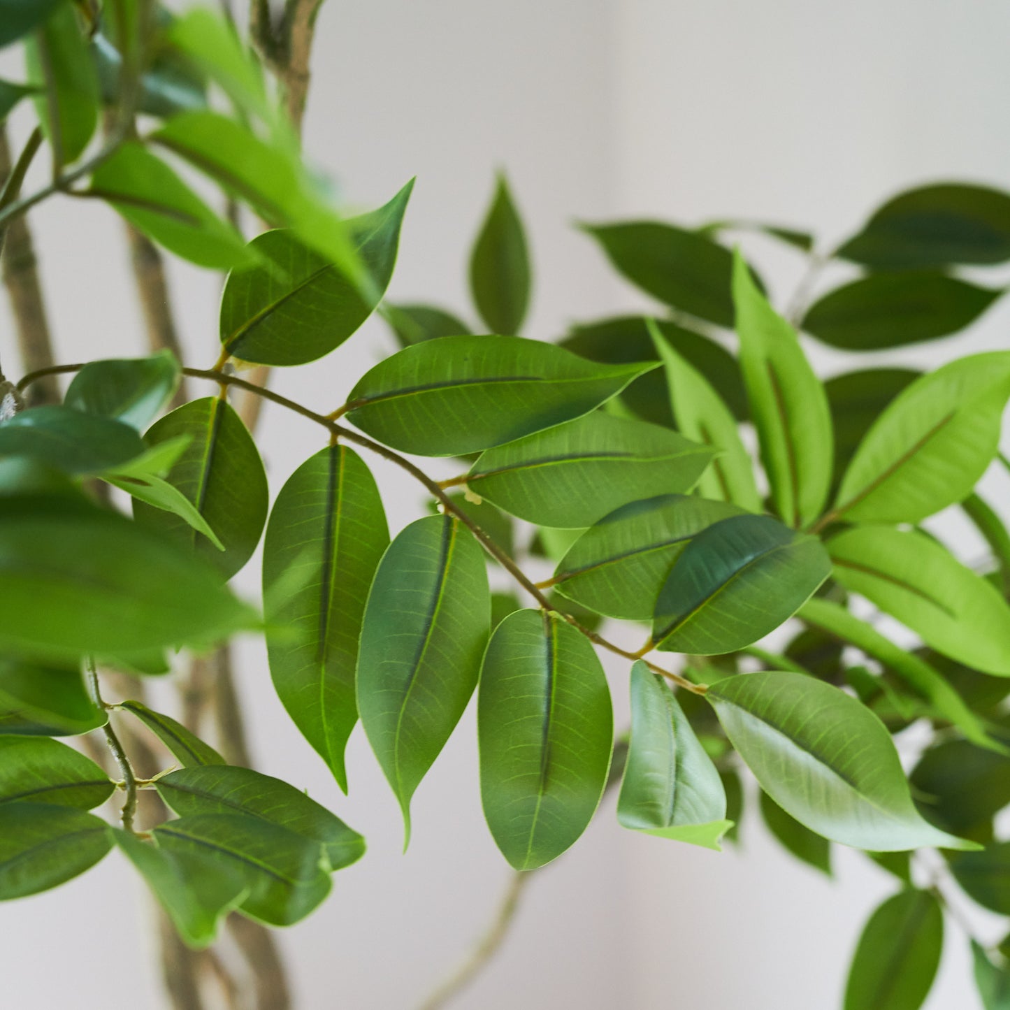 Yuki Lacquer Tree with Pot