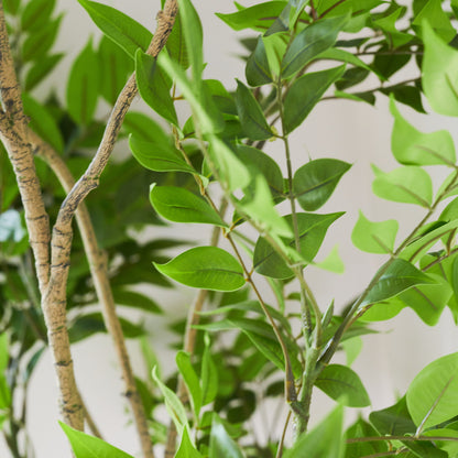 Yuki Lacquer Tree with Pot