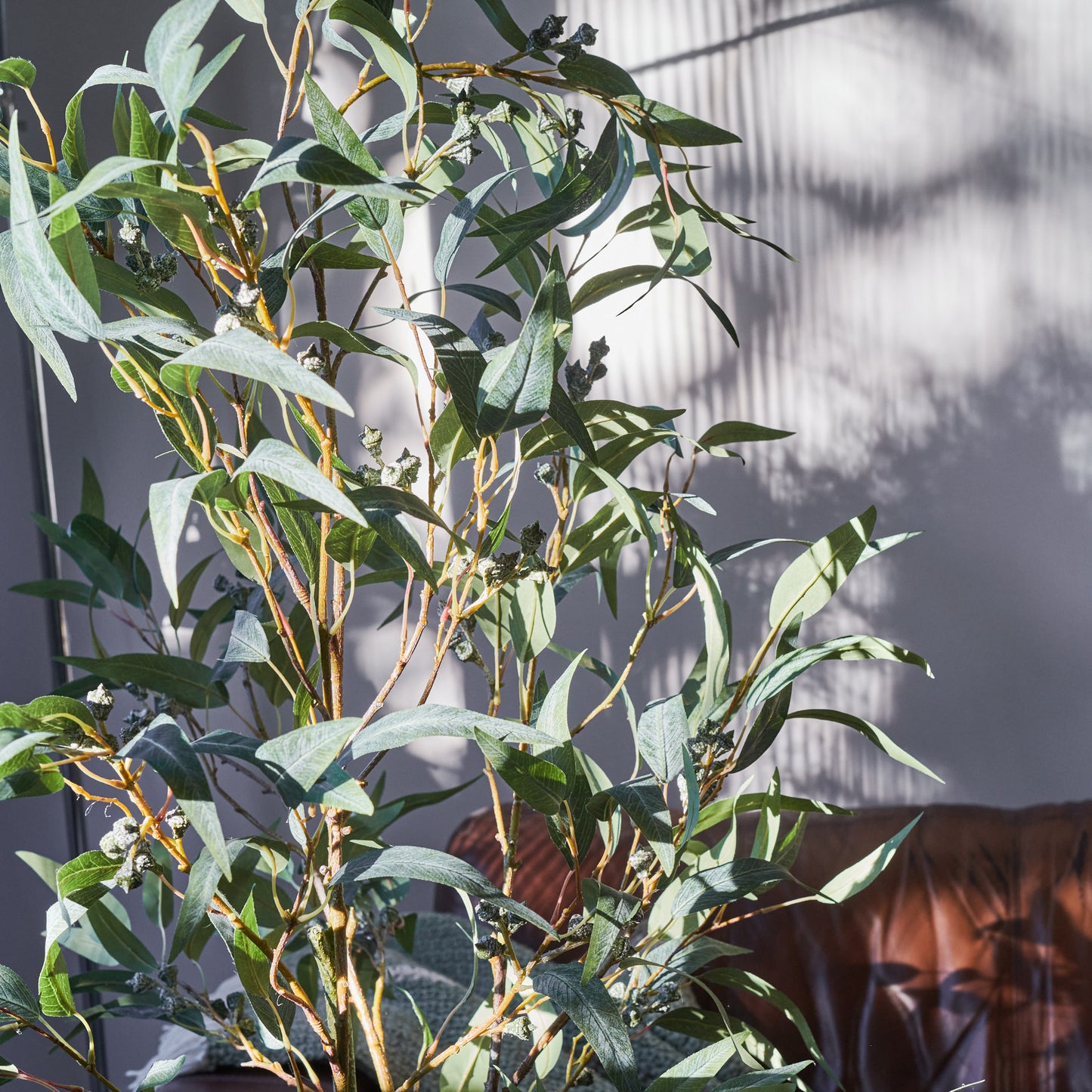 Irwin Eucalyptus Tree with Ceramic Pot