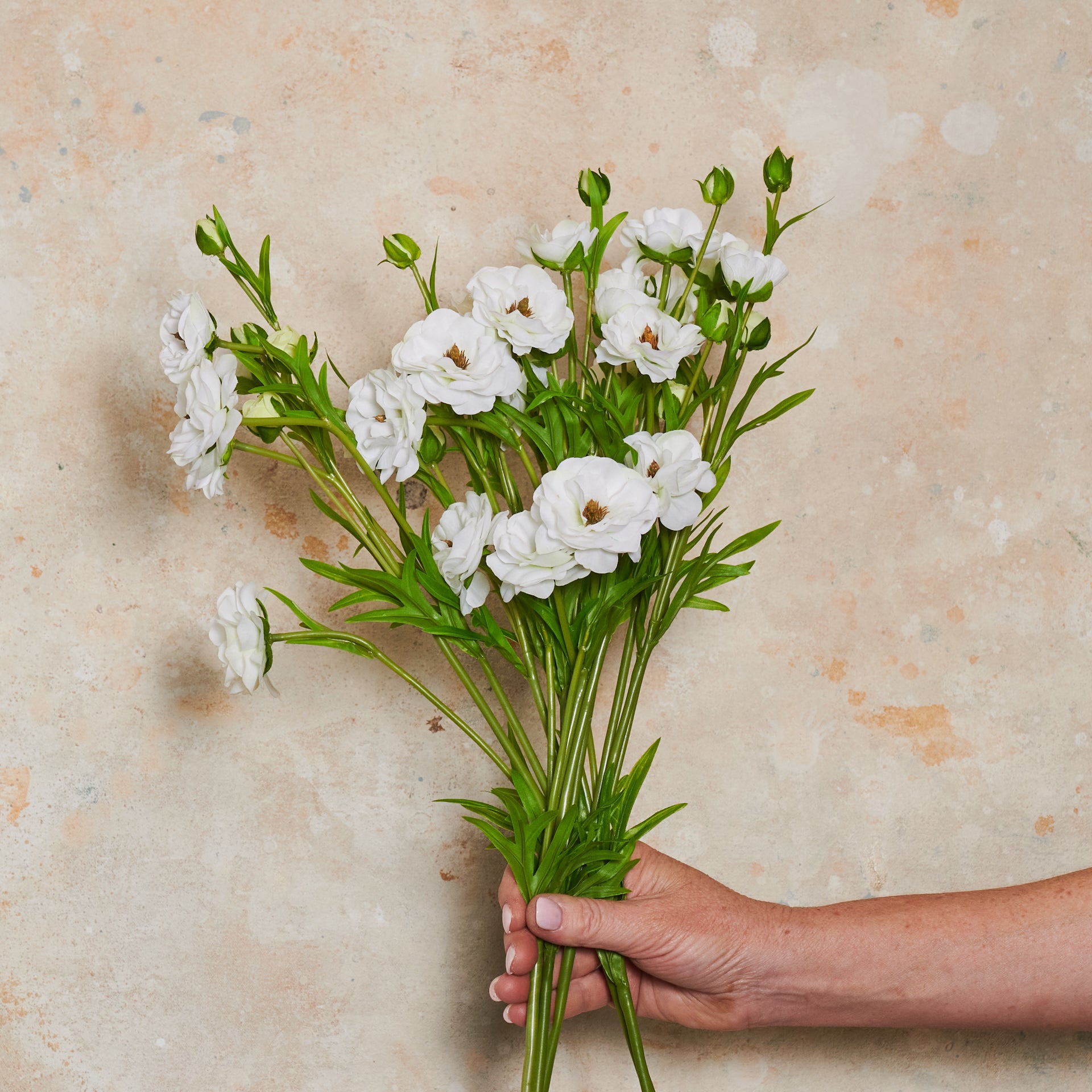 Ranunculus Spring Spray Real Touch Flower Stem