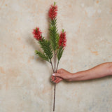 Australian Bottle Brush Real Touch Flower Stem