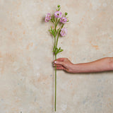 Ranunculus Spring Spray Real Touch Flower Stem