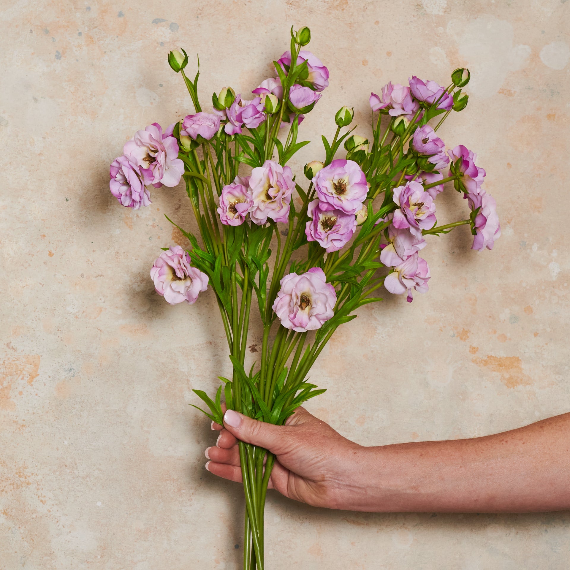 Ranunculus Spring Spray Real Touch Flower Stem