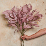 Eucalyptus Spray Dusty Pink Stem