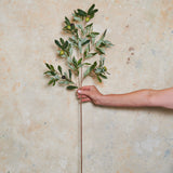 Olive Leaf Spray Real Touch Stem