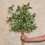 Olive Leaf Spray Real Touch Stem