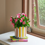 Impatiens Plant in Ceramic Pot