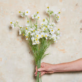 Cosmo Spray Real Touch Flower Stem