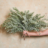 Eucalyptus Bush Real Touch Stem