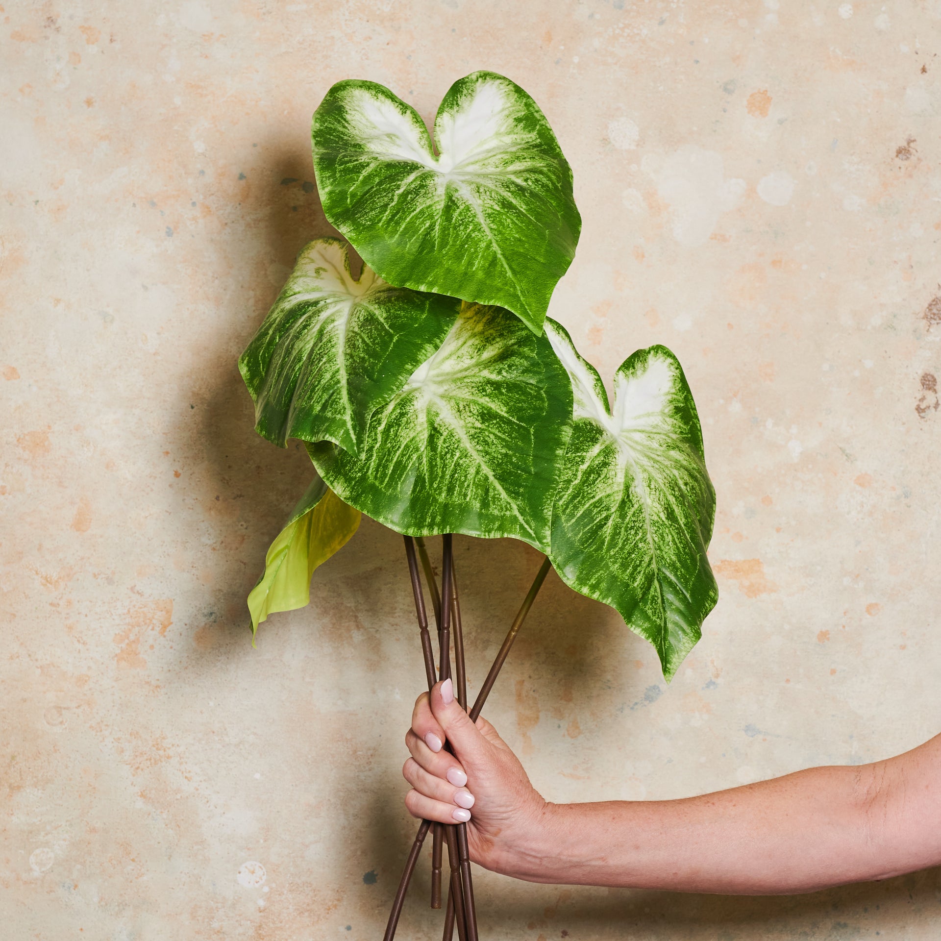 Calla Lily Leaf Real Touch Stem