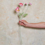 Poppy Real Touch Flower Stem