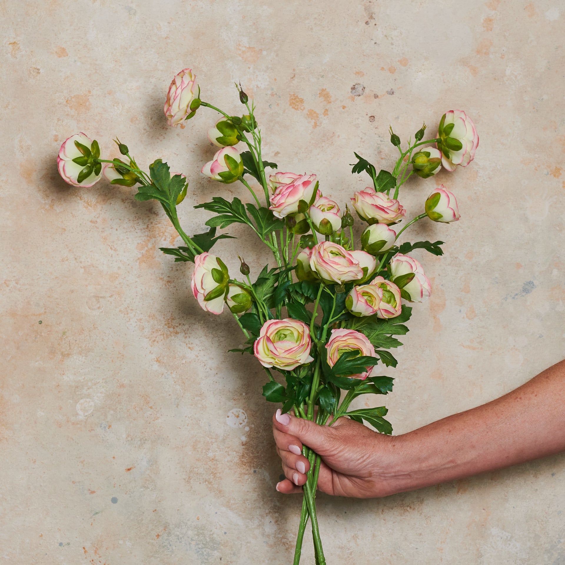 Ranunculus Wild Real Touch Flower Stem