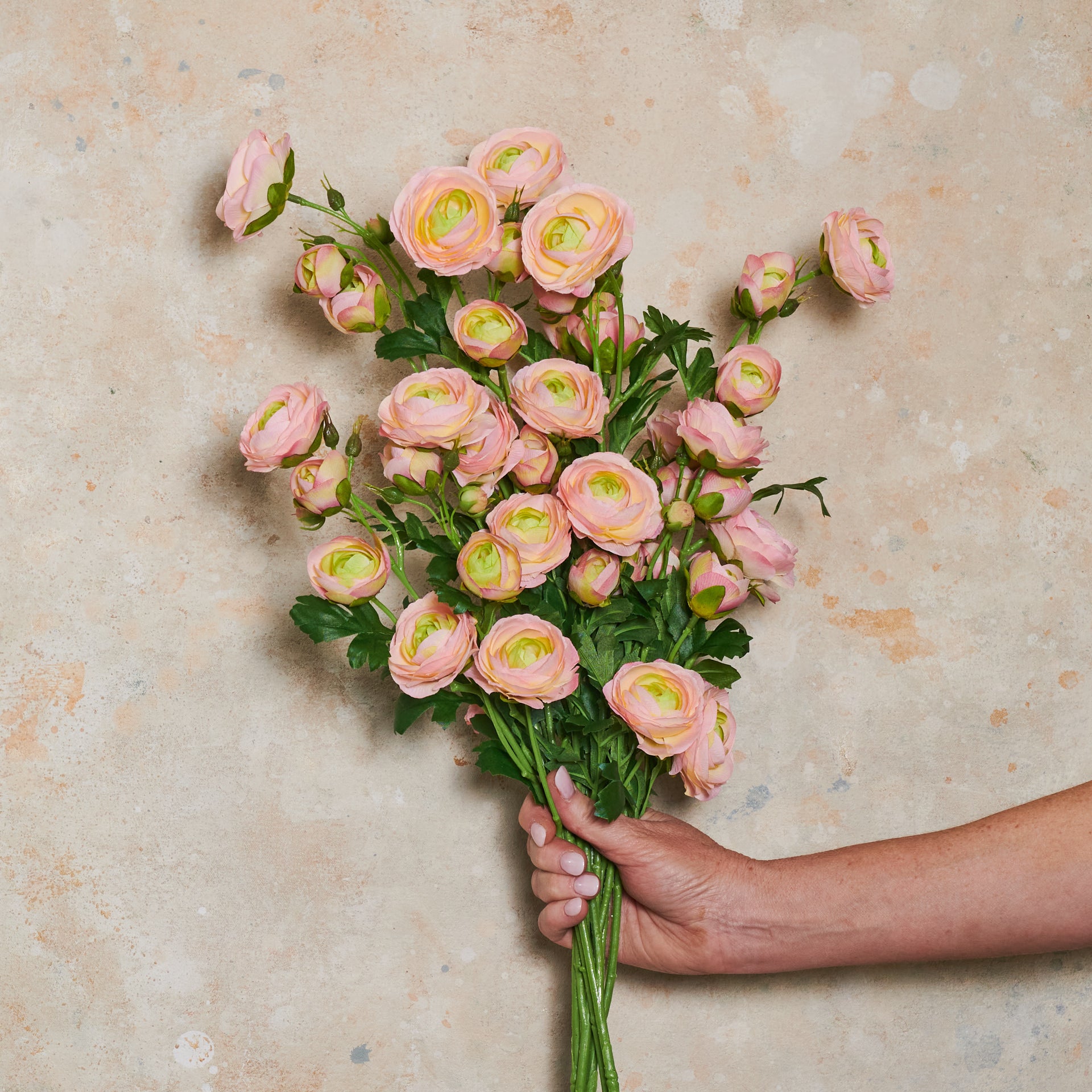 Ranunculus Wild Real Touch Flower Stem