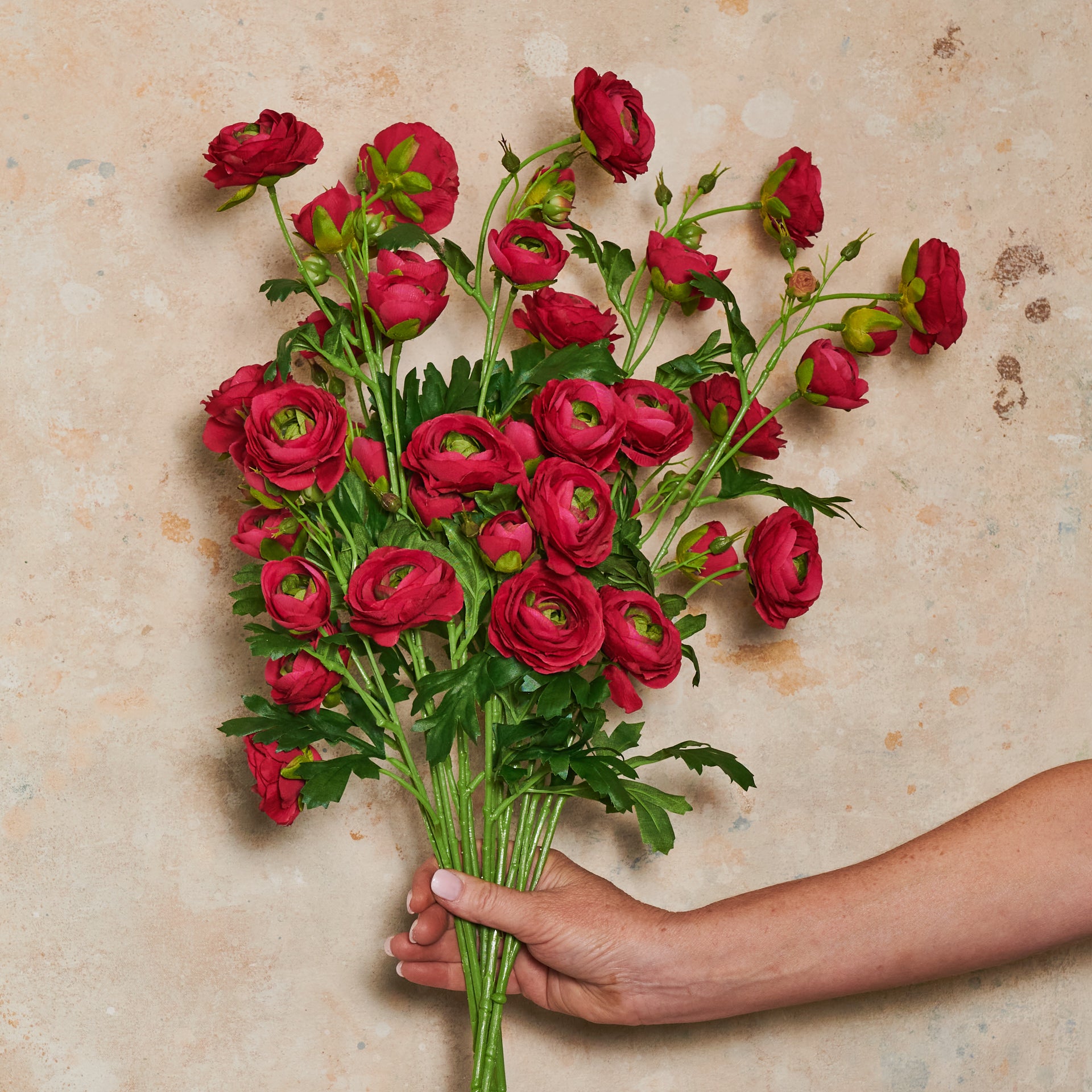 Ranunculus Wild Real Touch Flower Stem