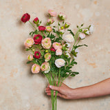 Ranunculus Wild Real Touch Flower Stem