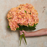 Hydrangea Bush Real Touch Flower Stem