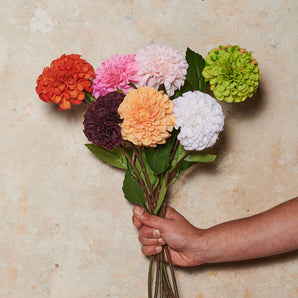 Pompon Dahlia Real Touch Flower Stem