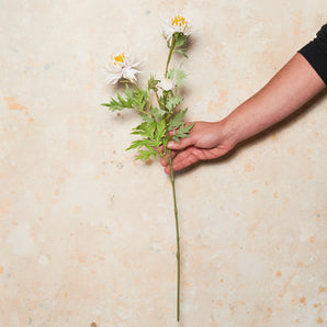 Chrysanthemum Real Touch Flower Stem