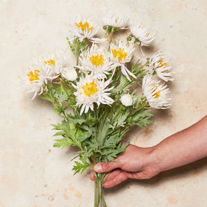 Chrysanthemum Real Touch Flower Stem