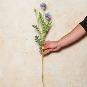 Thistle Real Touch Flower Stem