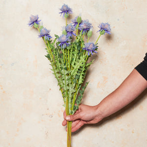 Thistle Real Touch Flower Stem