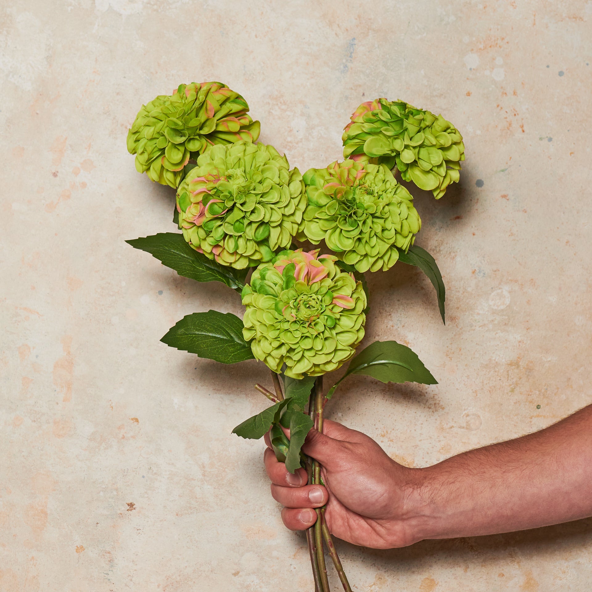 Pompon Dahlia Real Touch Flower Stem