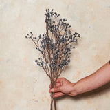 Rosehip Spray Real Touch Stem