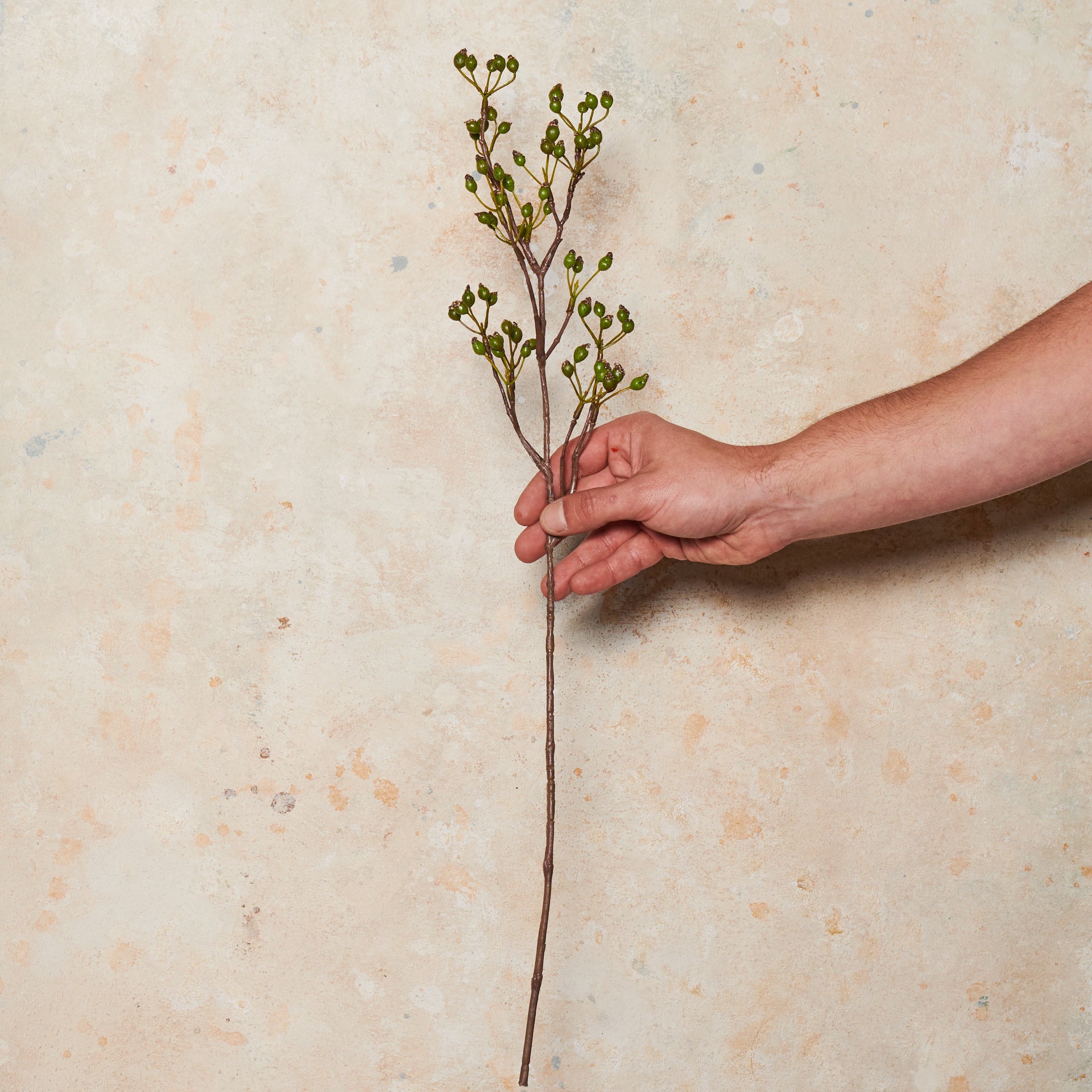 Rosehip Spray Real Touch Stem