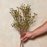 Rosehip Spray Real Touch Stem