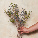 Rosehip Spray Real Touch Stem
