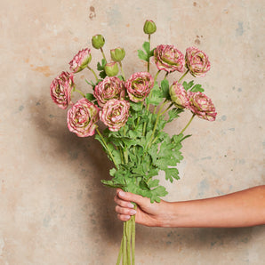 Ranunculus Flower Real Touch Flower Stem