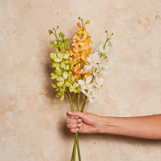 Orchid Vanda Real Touch Flower Stem