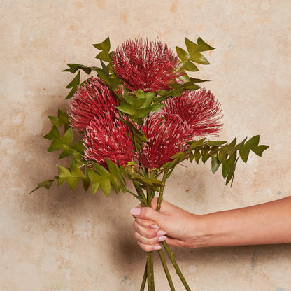 Protea Leucospermum Premium Pin Cushion Real Touch Flower Stem