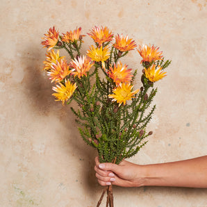 Kaaps Real Touch Flower Stem
