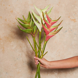 Heliconia Real Touch Flower Stem
