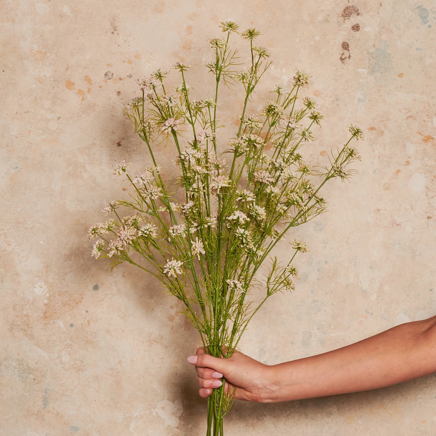 Wild Queen Annes Lace Real Touch Flower Stem