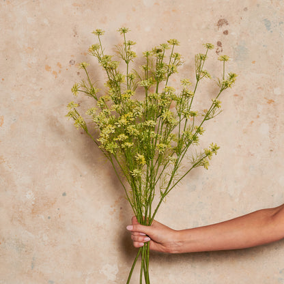 Wild Queen Annes Lace Real Touch Flower Stem