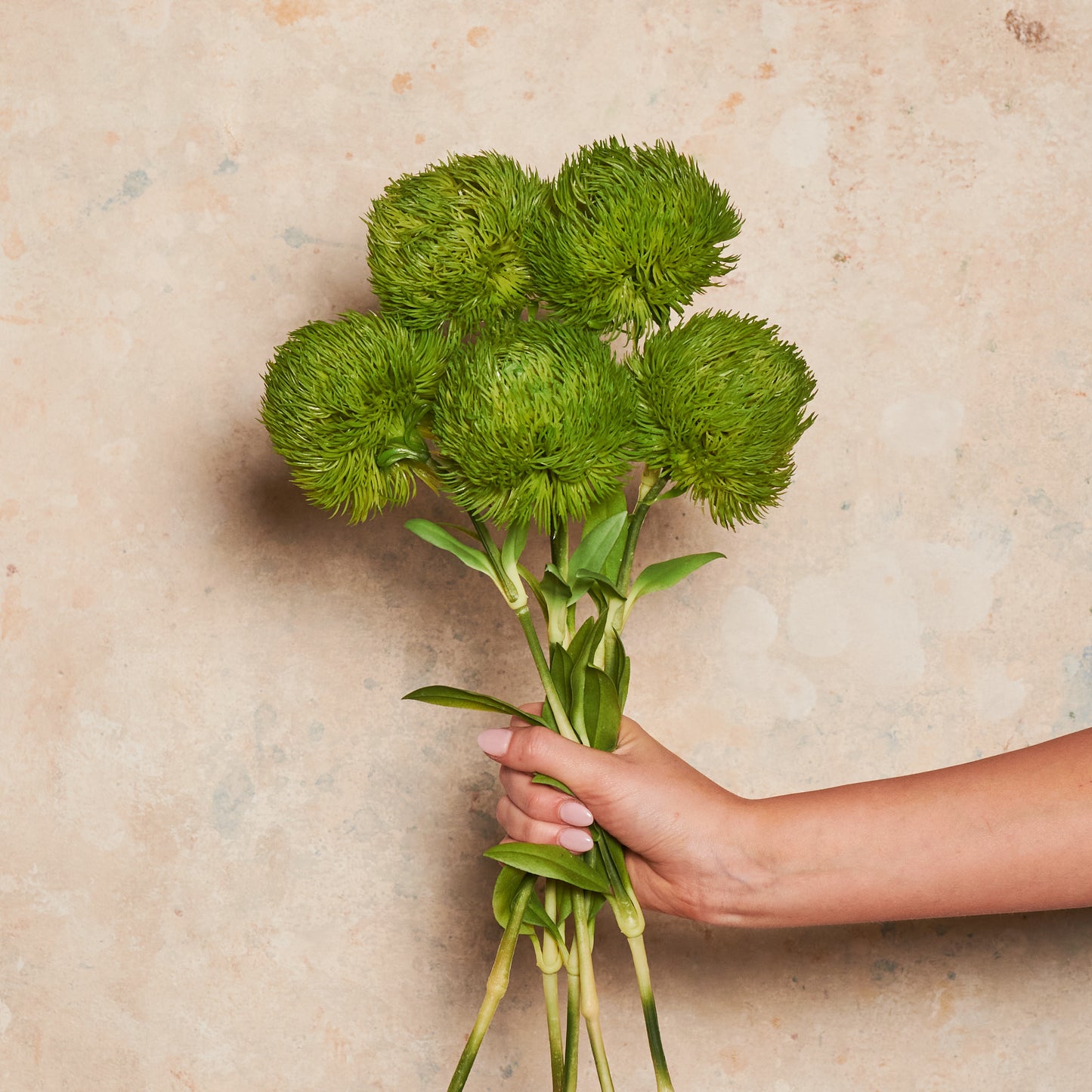 Dianthus Real Touch Flower Stem