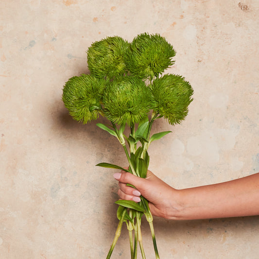 Dianthus Real Touch Flower Stem