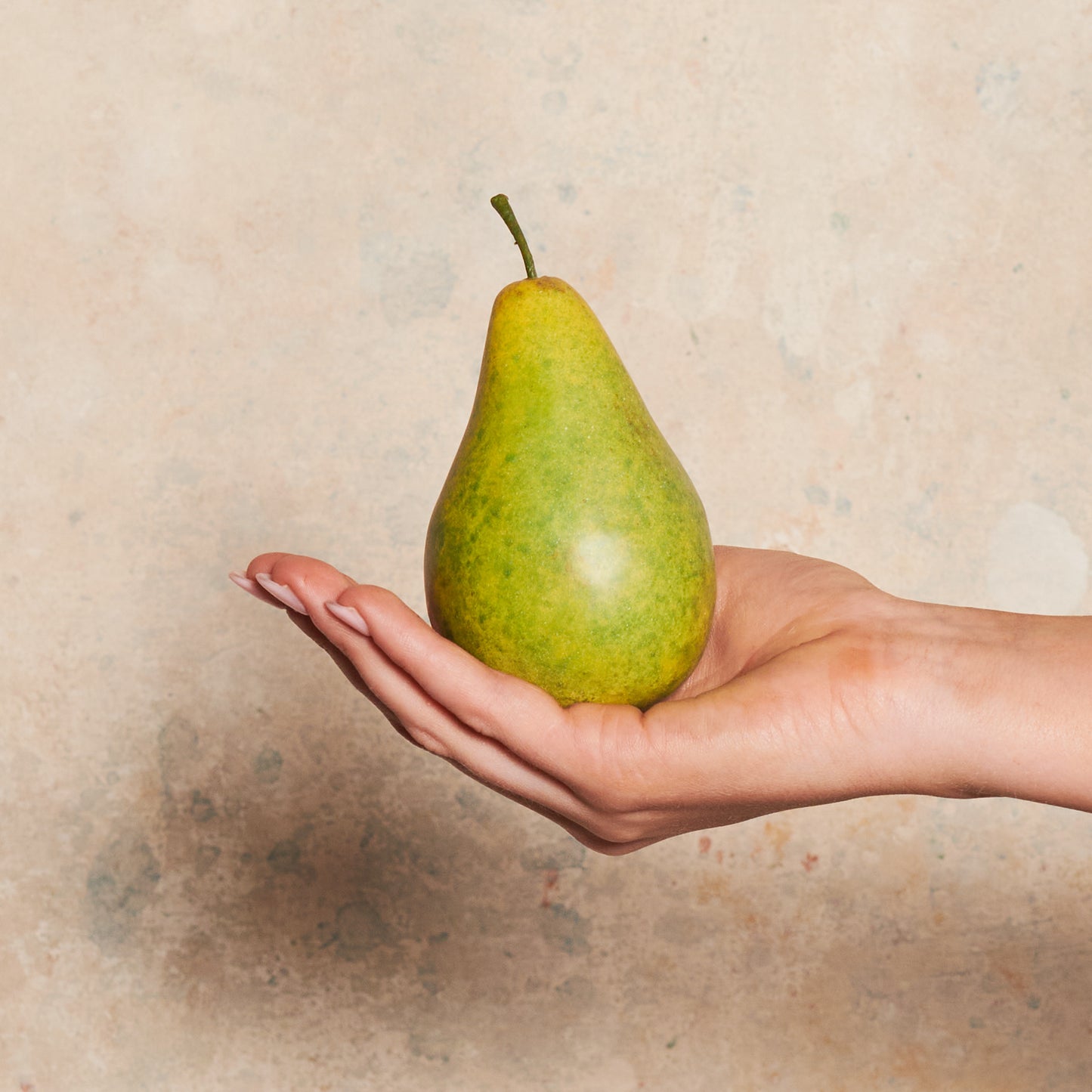 Pear Bartlet Artificial Fruit