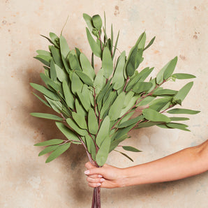 Eucalyptus Pointed Gum Real Touch Stem