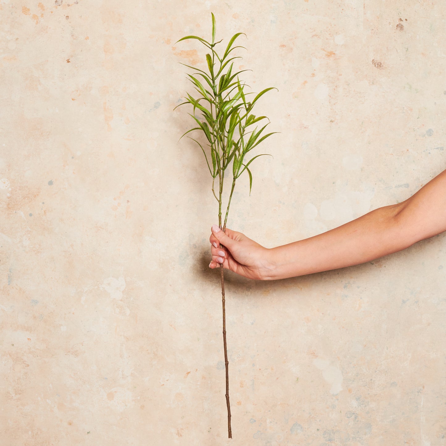 Asparagus Leaf Real Touch Stem