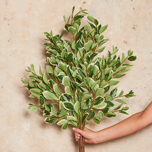 Euphorbia Leaf Real Touch Stem