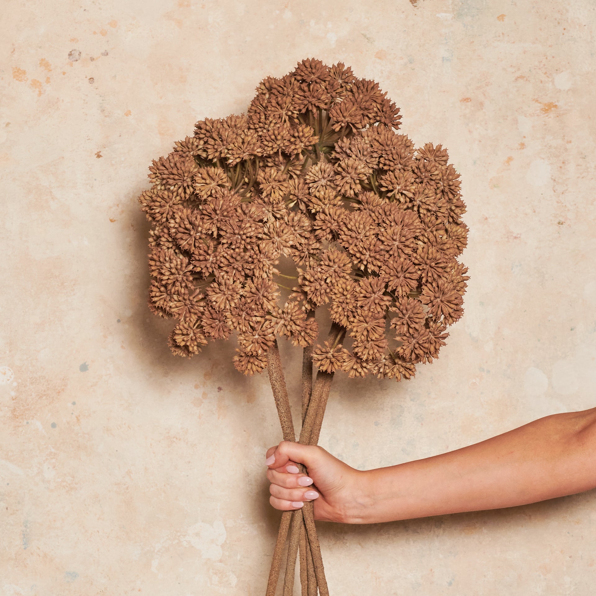 Wild Celery Real Touch Flower Stem