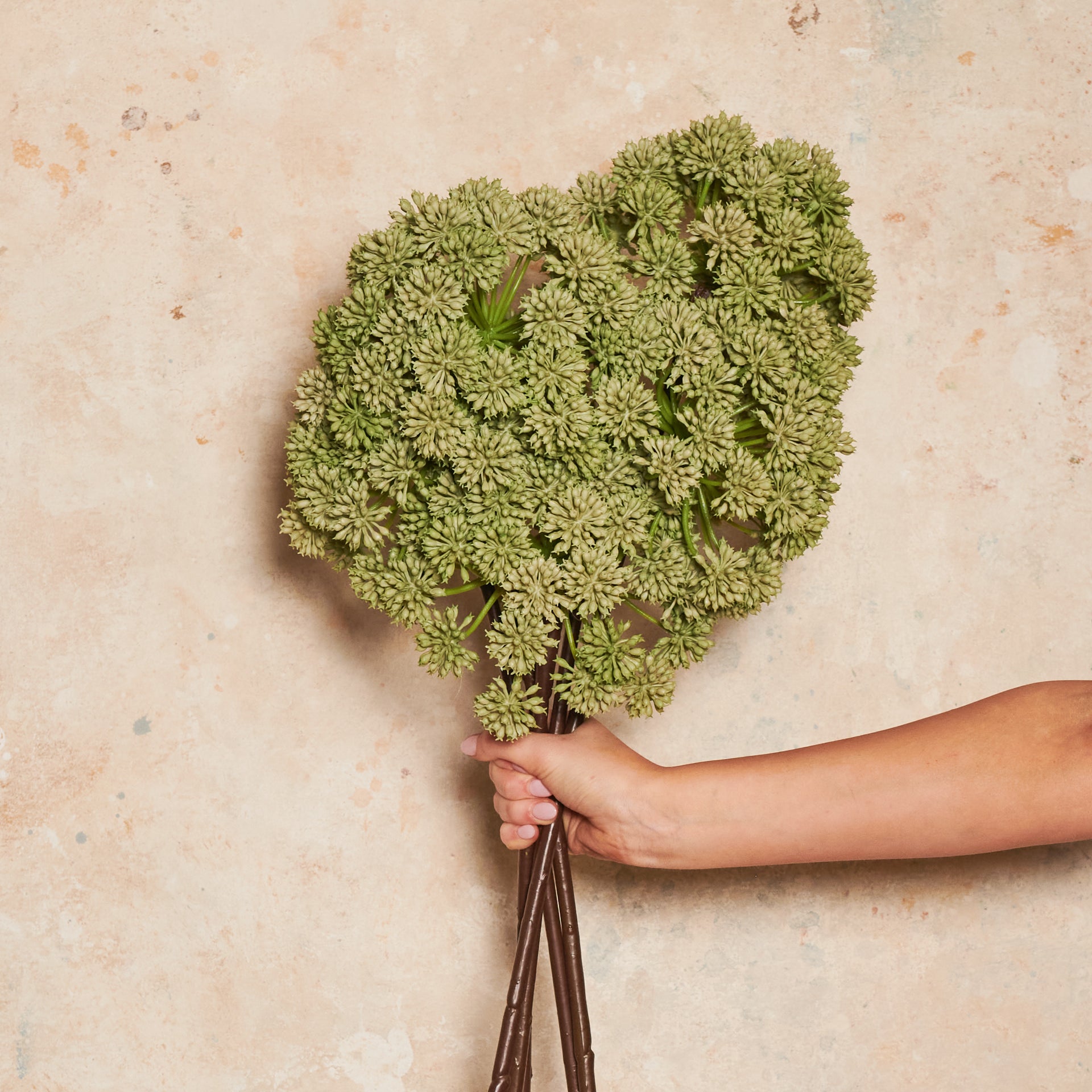 Wild Celery Real Touch Flower Stem