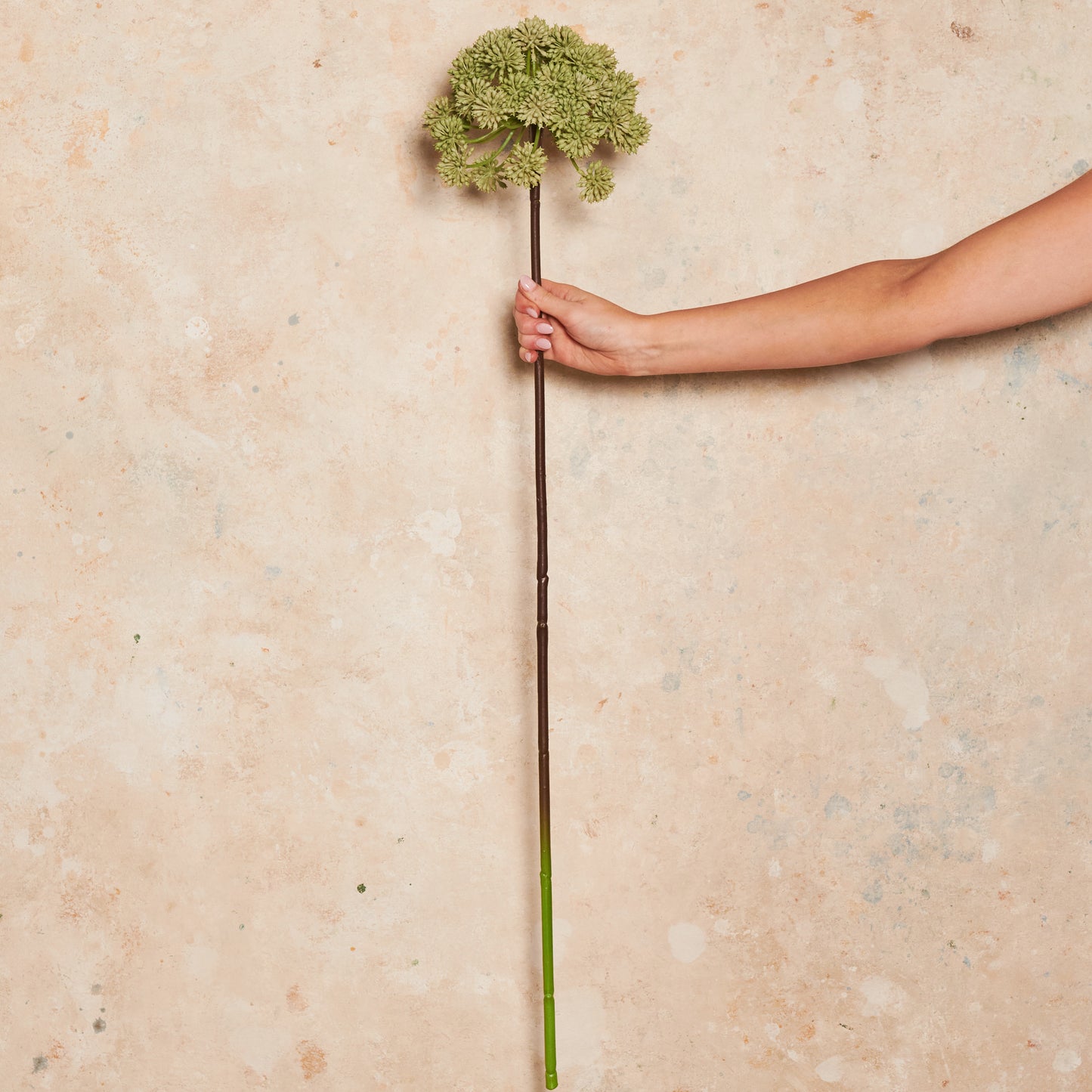 Angelica Real Touch Flower Stem