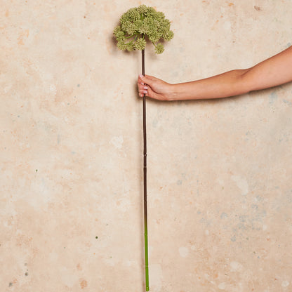 Angelica Real Touch Flower Stem