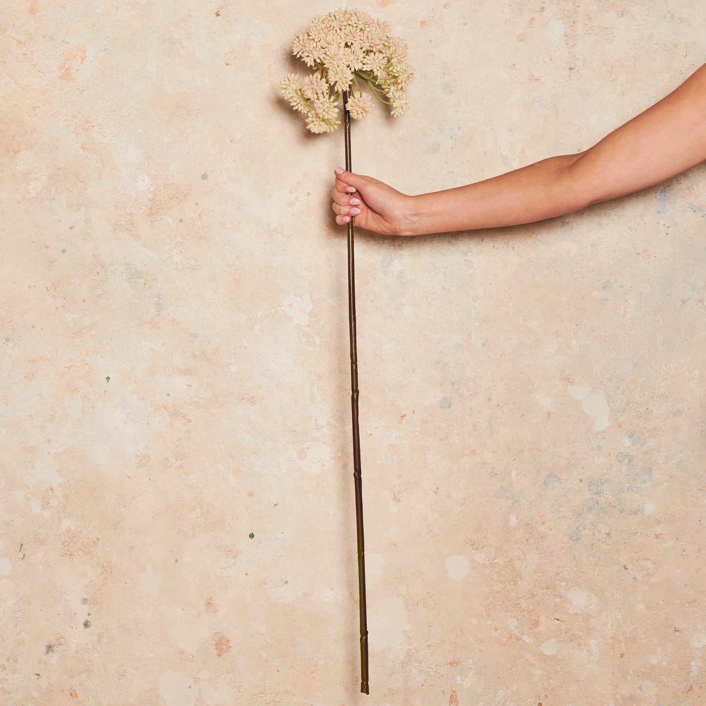 Angelica Real Touch Flower Stem