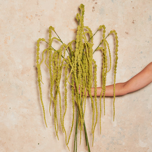 Amaranthus Hanging Spray Real Touch Flower Stem